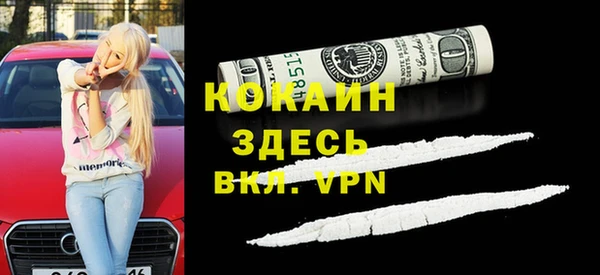 мет Бородино